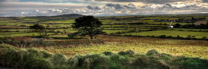 'Cornwall' - Image by Robert Moore